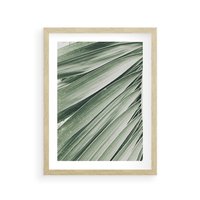 Plakat w ramie 50x70 - Tropikalna Oaza - zielony liść palmy, zieleń - rama drewno