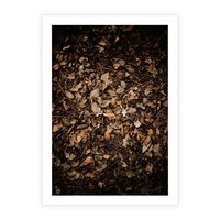 Plakat bez ramy 21x30 - Brązowe Liście w Scenerii - suche liście jesień brąz