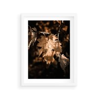 Plakat w ramie 30x40 - Uroczy Liść na Drzewie - jesienny liść, żółty liść na drzewie - rama biała