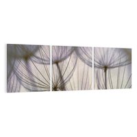 Obraz na płótnie 150x50 - Makro dmuchawiec - piękno drobnych detali - dmuchawce, makro