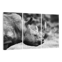 Obraz na płótnie 120x80 - Potęga Afryki - czarno biała fotografia, zbliżenie na postać nosorożca