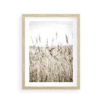 Plakat w ramie 50x70 - Nostalgiczny Pejzaż - suche trawy, pole - rama drewno