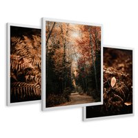 Zestaw obrazy w ramie 50x70 galeria - Bogo, jesienny, las, paprocie - rama biała