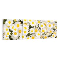 Obraz na płótnie 90x30 - Delikatność Kwiatowej Przyrody - stokrotki, kwiaty