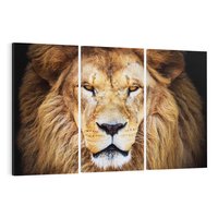 Obraz na płótnie 120x80 - Król zwierząt w majestatycznym stylu - lew, król