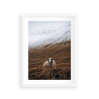 Plakat w ramie 30x40 - Owiecka panorama - góry, owca - rama biała