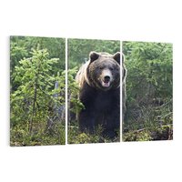 Obraz na płótnie 120x80 - Spotkanie z Niedźwiedziem w Lesie - niedźwiedź, las