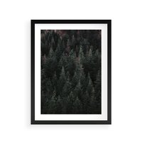 Plakat w ramie 30x40 - Wysoko nad Iglastym Lasem - las, perspektywa - rama czarna
