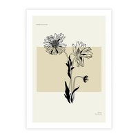 Plakat bez ramy 30x40 - Kwiatowe Płótno - kwiaty, typografia