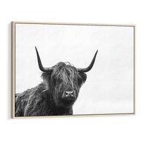 Obraz w ramie 70x50 - Moc i Spokój - amerykańskie bydło, byk - rama drewno