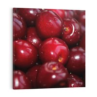 Obraz na płótnie 50x50 - Wiśnie Owocowa Rozkosz - wiśnie, owoce