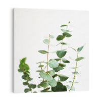Obraz na płótnie 30x30 - Żywa eukaliptusowa zieleń - eukaliptus, zielone