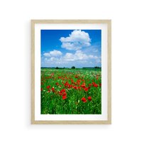 Plakat w ramie 40x50 - Kolorowa łąka pełna maku - łąka, maki - rama drewno
