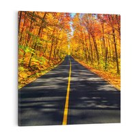 Obraz na płótnie 30x30 - Droga przez jesienny las - droga, las
