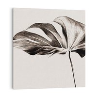 Obraz na płótnie 60x60 - Szapczący Liść - szkic, czarno biały