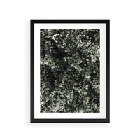 Plakat w ramie 30x40 - Jasnozielone Liście i Gałązki - liście, gałązki - rama czarna