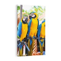 Obraz na płótnie 70x100 - Kolorowa parada papug - papuga, papugi