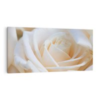 Obraz na płótnie 100x50 - Białe róże piękności - białe, róże