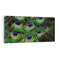 Obraz na płótnie 100x50 - Pawi Ogon - Piękno i Wspaniałość - paw, pióra