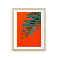 Plakat w ramie 30x40 - Egzotyczny Urok - liście, palma - rama drewno