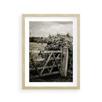 Plakat w ramie 50x70 - Wiejski Urok: Stary Płot i Kwitnący Krzew - rustykalne zdjęcie, stary płot - rama drewno