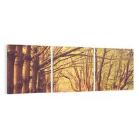 Obraz na płótnie 120x40 - Wędrówka między drzewami - droga, drzewa