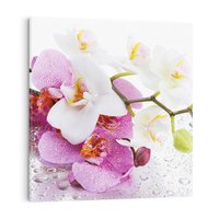 Obraz na płótnie 80x80 - Magia kwiatów - kwiaty