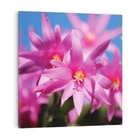 Obraz na płótnie 30x30 - Kwiatowy urok - kwiat, kwiaty