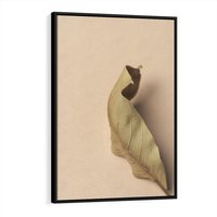 Obraz w ramie 70x100 - Boho suszone liście - suszony, liść - rama czarna