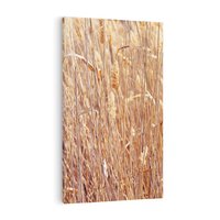 Obraz na płótnie 80x120 - Mistrzowskie suche trawy - suche, trawy