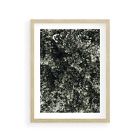 Plakat w ramie 30x40 - Jasnozielone Liście i Gałązki - liście, gałązki - rama drewno