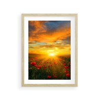 Plakat w ramie 50x70 - Magia zachodu słońca na łące z makami - łąka, zachód słońca - rama drewno