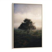 Obraz w ramie 80x120 - Zamglona Prostota - artystyczna fotografia, samotne drzewo na zamglonej łące - rama drewno