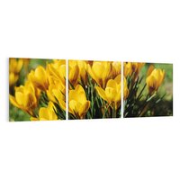 Obraz na płótnie 120x40 - Kwiatowe uniesienia natury - kwiat, kwiaty