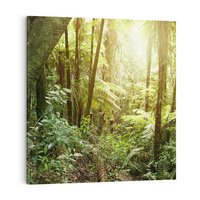 Obraz na płótnie 70x70 - Uroczysty Las Drzew - las, drzewa
