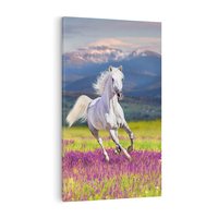 Obraz na płótnie 70x100 - Koń Góry: Spotkanie z Wielką Przyrodą - koń, góry