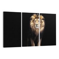 Obraz na płótnie 120x80 - Lew: dzikie piękno natury - lew, dzikie