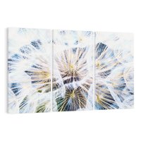 Obraz na płótnie 120x80 - marzenia w locie - dmuchawce, dmuchawiec