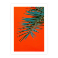 Plakat bez ramy 50x70 - Egzotyczny Urok - liście, palma