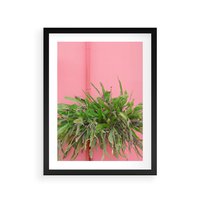 Plakat w ramie 40x50 - Fotografia Rośliny z Różowym Tłem - fotografia, zielona roślina na tle różwj ściany - rama czarna