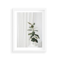Plakat w ramie 50x70 - Kwiat w Bieli - kwiat w doniczce, białe wnętrze - rama biała