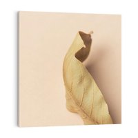 Obraz na płótnie 40x40 - Boho suszone liście - suszony, liść