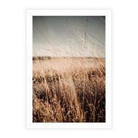 Plakat bez ramy 30x40 - Sucha Trawa w Odcieniach Sepii - suche trawy, łąka odcienie beżu