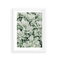 Plakat w ramie 30x40 - Liście w Jasnych Odcieniach Zielonego - liście, jasna zieleń fotografia - rama biała
