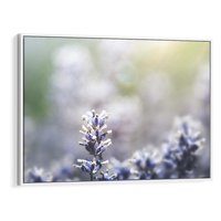 Obraz w ramie 70x50 - Delikatna Uroda Natury - wrzosy, fiolet - rama biała