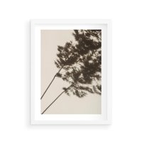 Plakat w ramie 30x40 - Tajemniczy Cień Traw - cień traw, na ścianie - rama biała