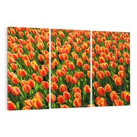 Obraz na płótnie 120x80 - Urok tulipanów piękno kwiatów - tulipany, kwiaty