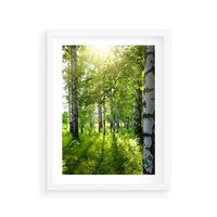 Plakat w ramie 40x50 - Lasowa Księżycowa Noc - las, drzewa - rama biała