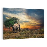 Obraz na płótnie 70x50 - Potęga słonia na afrykańskiej sawannie - słoń, sawanna