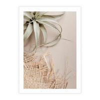 Plakat bez ramy 21x30 - Aloes w Stylu Boho - kompozycja, wiklina